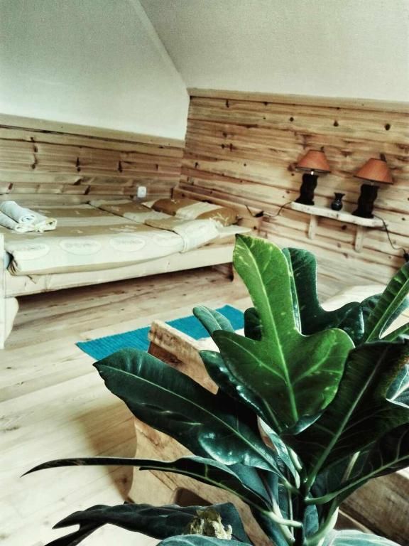 Проживание в семье Woden apartment Жабляк