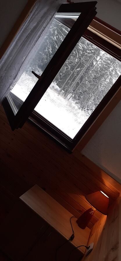 Проживание в семье Woden apartment Жабляк-9