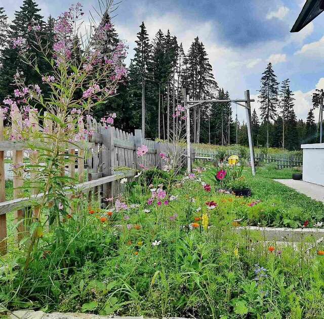 Проживание в семье Woden apartment Жабляк-22